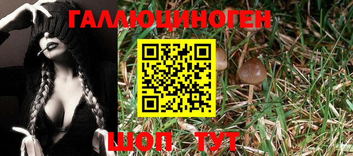 Лсд 25  Губкин  COCAIN  Вход с VPN  Канабис  Меф   ГАШИШ 